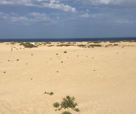 Le dune di Corralejo